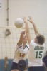 thum pict