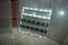 album pict