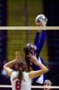 thum pict