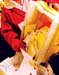 WebPhoto05