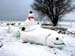 WebPhoto03