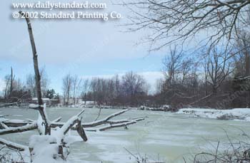 WebPhoto02