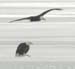 WebPhoto01