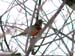 WebPhoto01