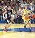 WebPhoto07