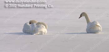 WebPhoto02