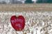 WebPhoto04