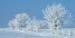 WebPhoto01