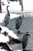 WebPhoto01