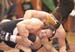 WebPhoto09