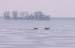 WebPhoto03
