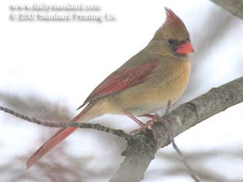WebPhoto01