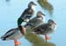 WebPhoto01