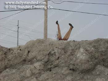 WebPhoto03