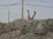WebPhoto03
