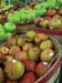 WebPhoto10