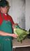 WebPhoto11