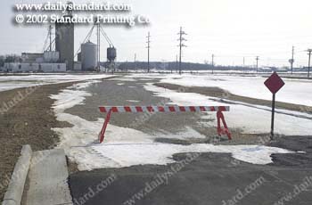 WebPhoto06
