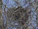 WebPhoto01