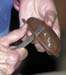 WebPhoto07