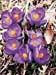 WebPhoto02