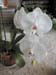 WebPhoto06