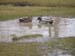 WebPhoto01