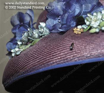 WebPhoto11