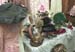 WebPhoto09