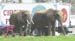WebPhoto03