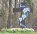 WebPhoto04