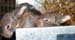 WebPhoto02