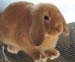 WebPhoto04