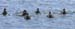 WebPhoto05