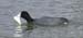 WebPhoto06