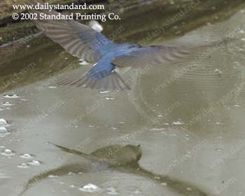 WebPhoto02