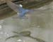 WebPhoto02