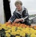 WebPhoto05