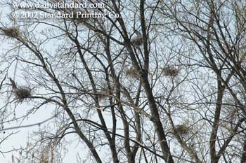 WebPhoto06