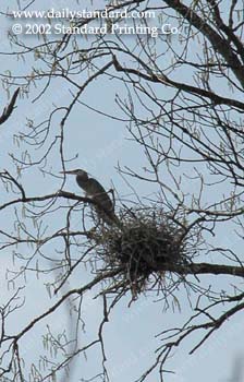 WebPhoto07