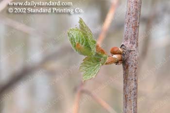 WebPhoto13