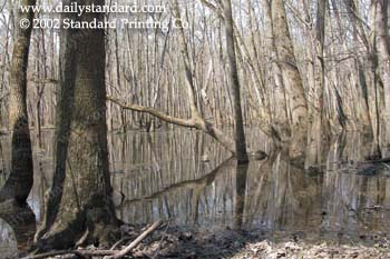 WebPhoto14