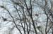WebPhoto06