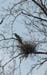 WebPhoto07