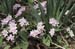 WebPhoto08