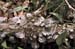 WebPhoto10