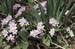 WebPhoto11