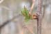WebPhoto13