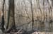 WebPhoto14