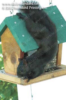 WebPhoto3